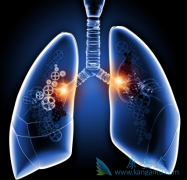 �����������н��зΰ����Ƶĸ���������Щ