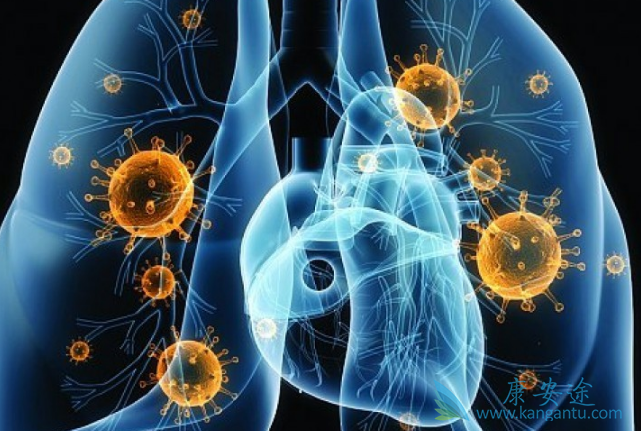 �ΰ���������