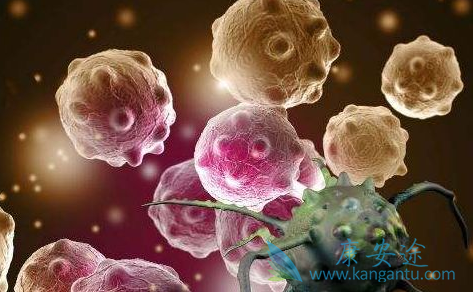 �ΰ���ת��