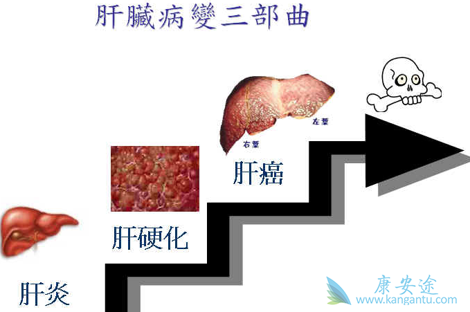 乙肝病毒 乙肝病毒