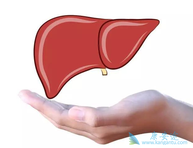 乙肝能喝红酒吗 乙肝能喝红酒吗