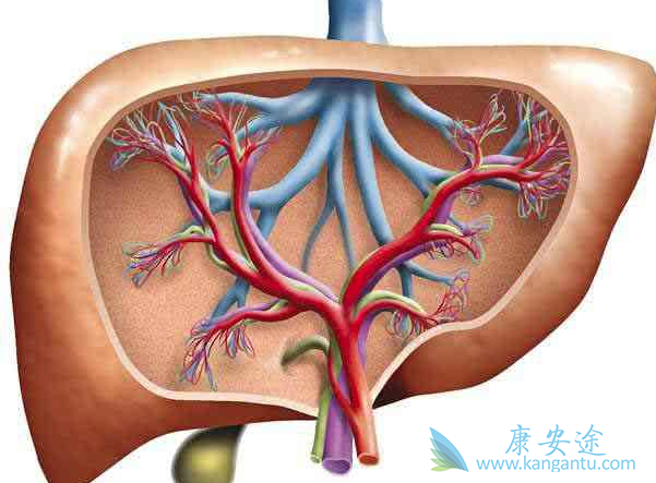 乙肝抗病毒治疗 乙肝抗病毒治疗