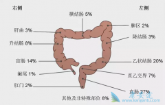 ֱ����֢״���׷����������ֱ����֢Ԥ��