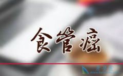 ʳ����֢״����֢���Ʒ���������Щ