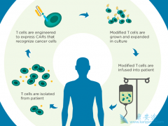 Kymriah��ȫ���һ�������׼��CAR-Tϸ�����Ʒ���