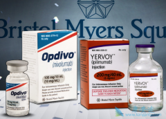 PD-1���Ƽ���CTLA-4���Ƽ��������ư�֢Ч�����