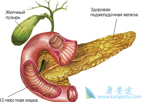 乔布斯癌症 乔布斯癌症