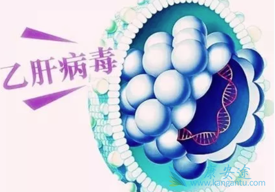 乙肝病毒 乙肝病毒