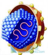 ����ҽԺ��ҽ�����Լ���������ԭ��