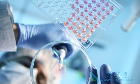 乙肝两对半检查 乙肝两对半检查