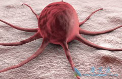 UCART22��Ϊ���ܰ�Ѫ����Ƶ�CAR-T���Ʋ�Ʒ