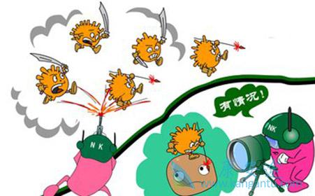 如何治疗丙肝 如何治疗丙肝