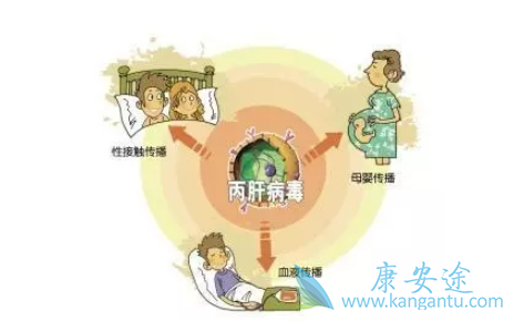 丙肝传播途径 丙肝传播途径