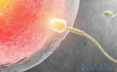 ̩���Թ�Ӥ���������Ϲ���Ӧ�����ļ�����