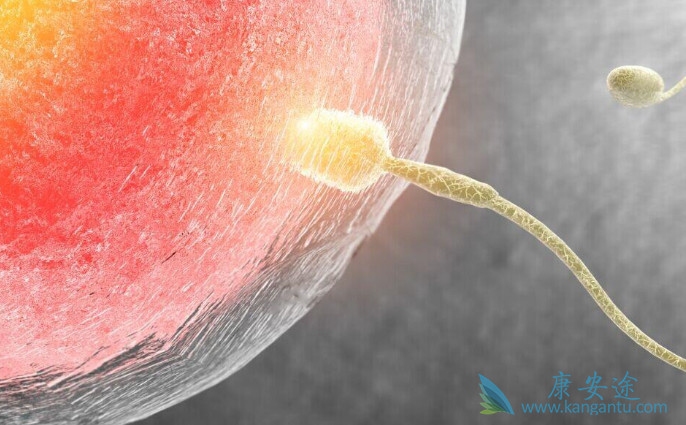 试管婴儿过程 试管婴儿过程