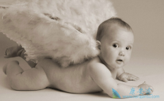 ���в������������Թ�Ӥ������Ǯ