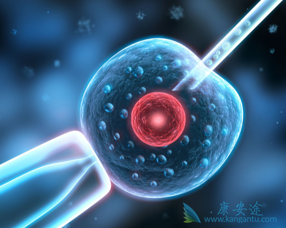 什么是试管婴儿 什么是试管婴儿