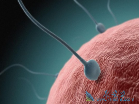 试管婴儿移植后注意事项 试管婴儿移植后注意事项