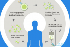 ĿǰCAR-Tϸ�����Ʒ����Ѿ���չ���˵�����