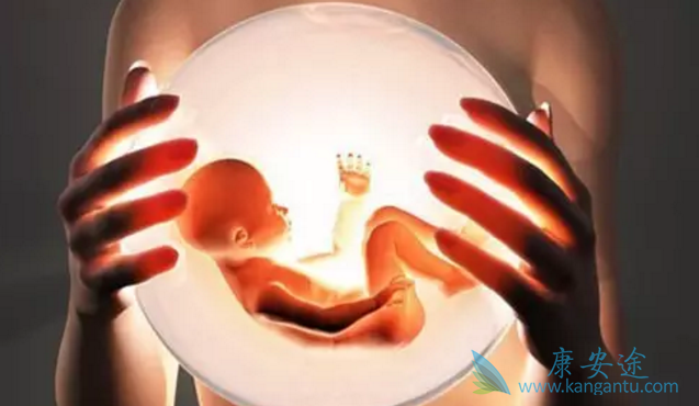 试管婴儿移植后 试管婴儿移植后