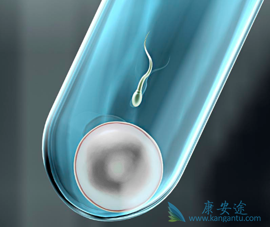 试管婴儿移植后症状 试管婴儿移植后症状