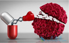 PD-1��ҩ����ٴλ�����ԭ���֢��ҩ