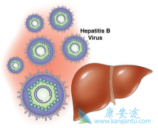 ���߲����Ҹο����������Ҹδ�������������