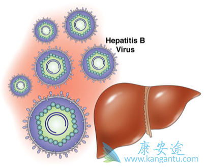 乙肝大三阳能治愈吗 乙肝大三阳能治愈吗