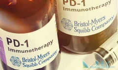 PD-1������ҩ��ɳ������Ϸ��ƺͻ�������