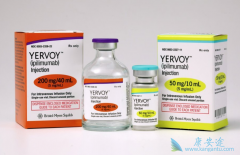 Opdivo��Yervoy���������Ʒ����ư�֢��չ˳��