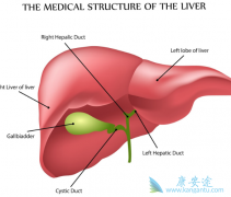 �Ҹλ��߽����Ҹο���������ҩ�ﲻӦäĿӦ��