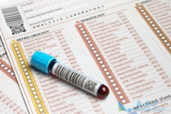 �Ҹα��濹ԭ�������������Ҹ����ƺ�Ԥ������