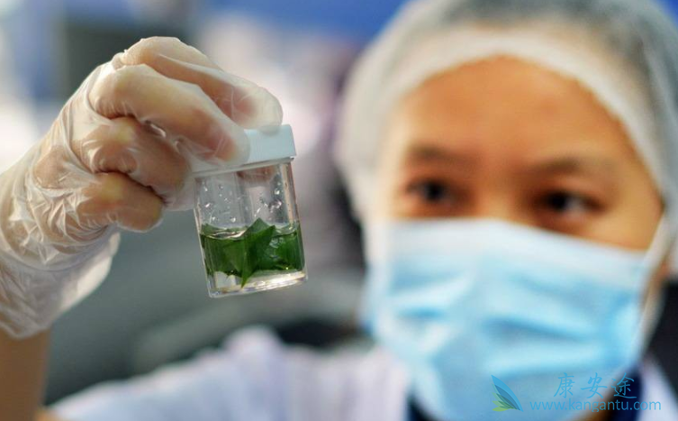 乙肝五项 乙肝五项