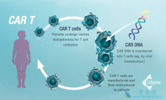 �й�CAR-Tϸ���Ʒ�Ŀǰ�Ѿ����뵽̽����