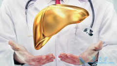 �Ҹβ���Я���߰�ȫ�ȹ�������ʳ�ǹؼ�