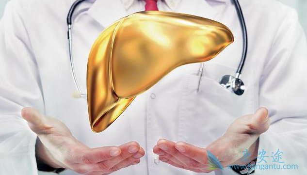 乙肝病毒携带者 乙肝病毒携带者