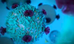 CAR-T���Ʋ���������ʧ�ܺ�����ϣ��