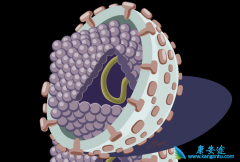 ���β���Я���ߵı��ο��������������