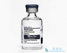 Ŀǰ�Ѿ����е�PD-1���Ƽ�ֻ��Opdivo��Keytruda