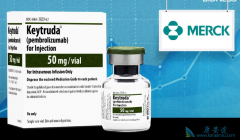 Ĭɳ����PD-1���Ƽ�Keytruda������һ�����Ʒΰ�����