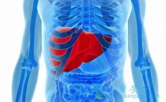 ʲô�Ǳ����Լ����ε�֢״����Щ