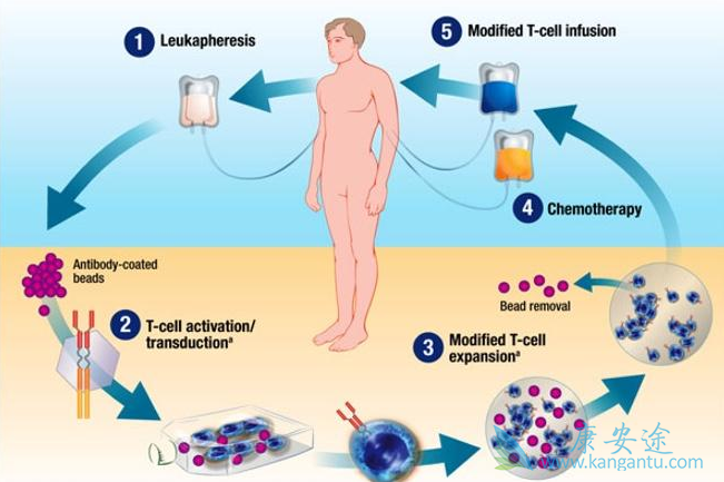 ϸ�������Ʒ�