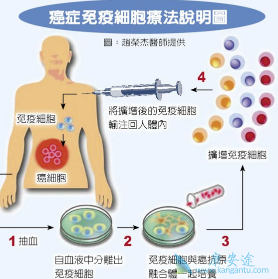 ��֢�����Ʒ�