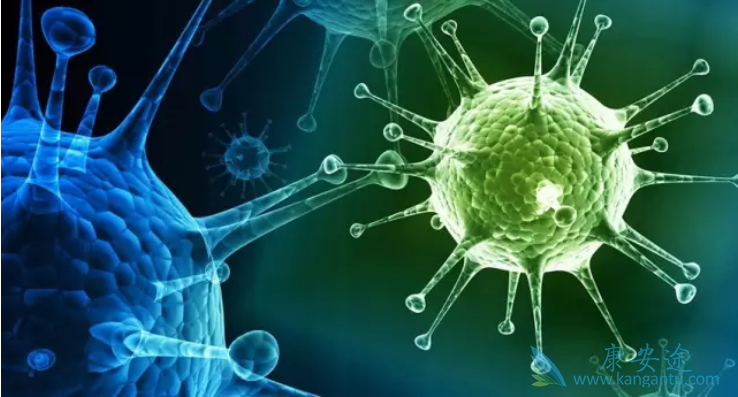 丙肝的危害 丙肝的危害