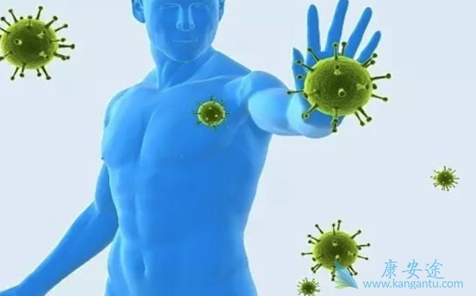 �Ҹο���������