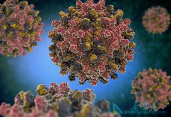 �Ҹλ�����Ҫ���г��ڵ��Ҹβ�������