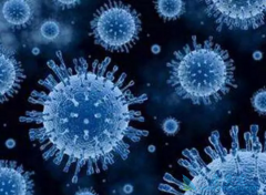 ���δ����ڵĻ��߱��ο�������Ϊ���Ե��Ծ��д�Ⱦ��