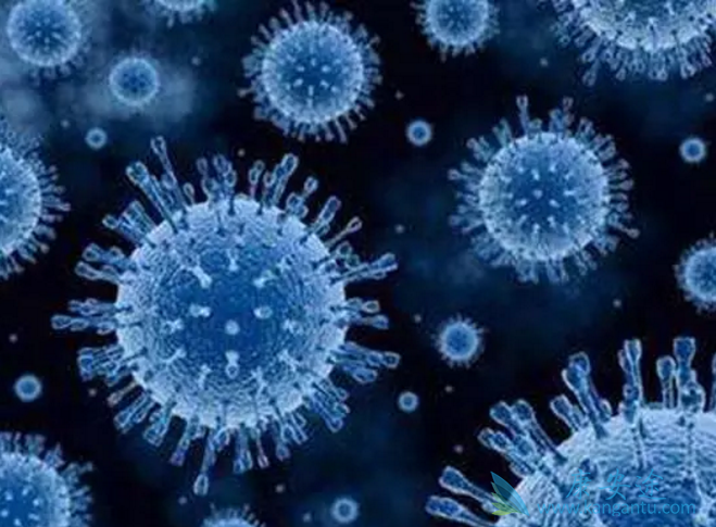 丙肝窗口期 丙肝窗口期