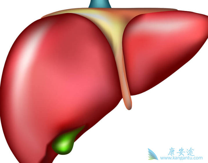 丙肝传染吗 丙肝传染吗
