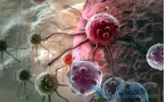 CAR-T�Ʒ��ڽ�ֱ����С��ʵ�����кܺõ�Ч��